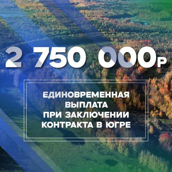 Заключить контракт для участия в СВО — фото 3